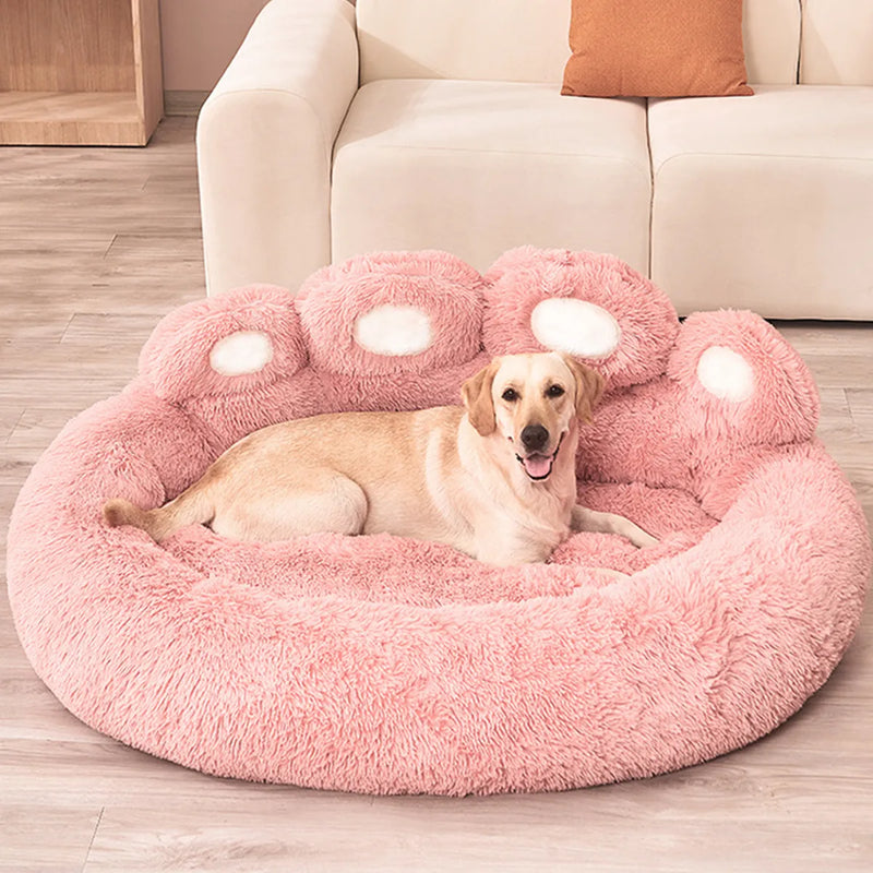 PetSofa Haven