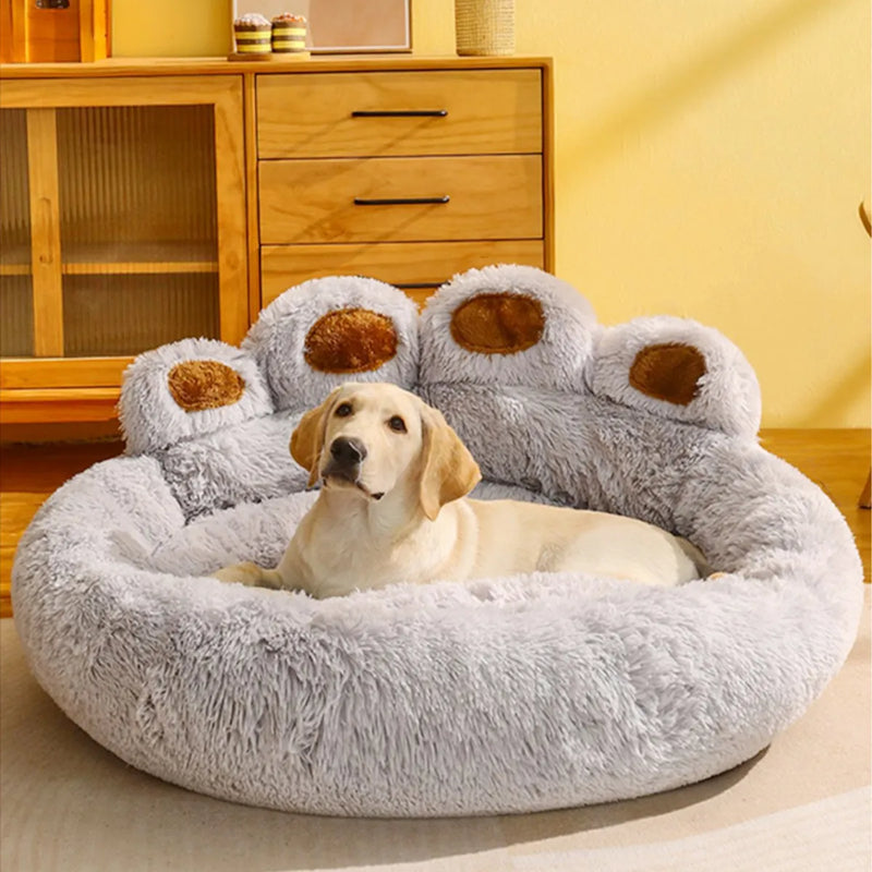 PetSofa Haven