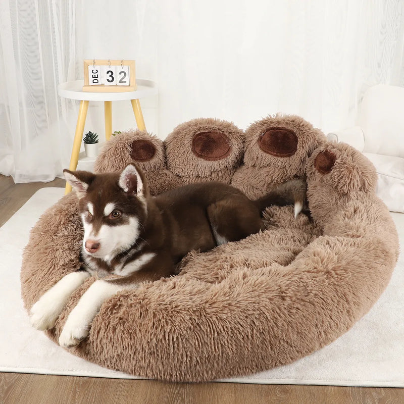 PetSofa Haven